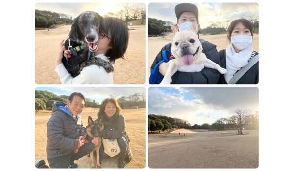 犬のしつけ教室・出張レッスン・無駄吠えの矯正レッスンを行うドッグスクールヴィッセの今日のわん子達。～12月28日～