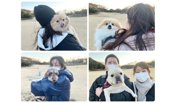犬のしつけ教室・出張レッスン・無駄吠えの矯正レッスンを行うドッグスクールヴィッセの今日のわん子達です。～1月9日～