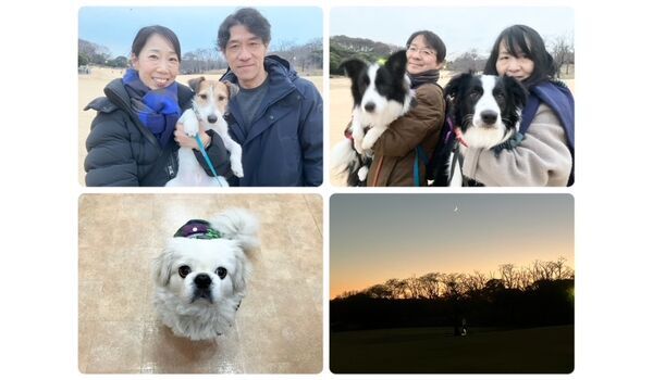 犬のしつけ教室・出張レッスン・無駄吠えの矯正レッスンを行うドッグスクールヴィッセの今日のわん子達。～1月12日～