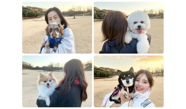 犬のしつけ教室・出張レッスン・無駄吠えの矯正レッスンを行うドッグスクールヴィッセの今日のわん子達。～1月15日～