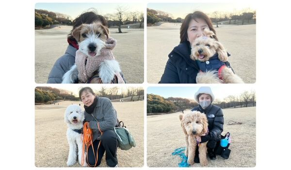 犬のしつけ教室・出張レッスン・無駄吠えの矯正レッスンを行うドッグスクールヴィッセの今日のわん子達です。～1月17日～