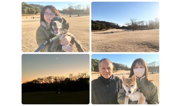 犬のしつけ教室・出張レッスン・無駄吠えの矯正レッスンを行うドッグスクールヴィッセの今日のわん子達。～1月18日～