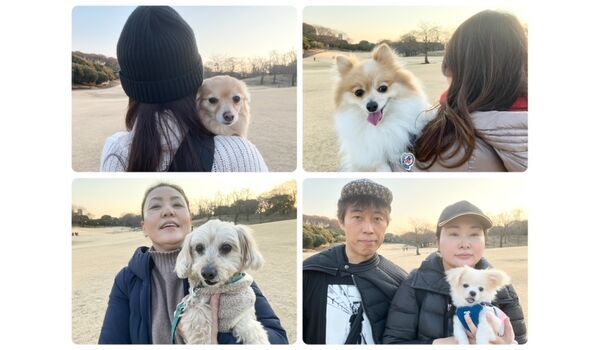 犬のしつけ教室・出張レッスン・無駄吠えの矯正レッスンを行うドッグスクールヴィッセの今日のわん子達。～1月23日～