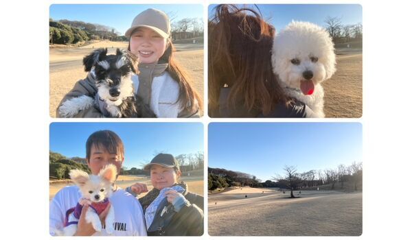 犬のしつけ教室・出張レッスン・無駄吠えの矯正レッスンを行うドッグスクールヴィッセの今日のわん子達。～1月29日～
