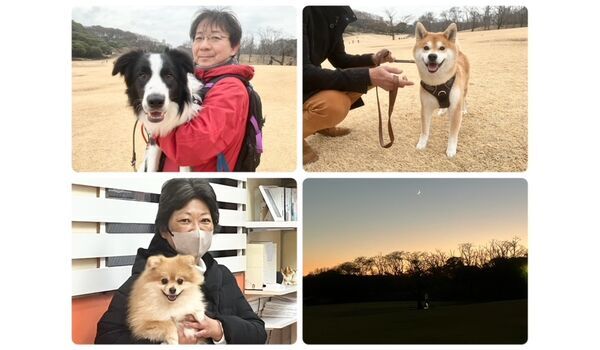 犬のしつけ教室・出張レッスン・無駄吠えの矯正レッスンを行うドッグスクールヴィッセの今日のわん子達。～2月2日～