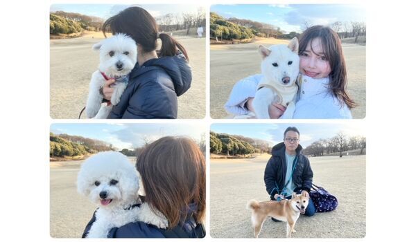犬のしつけ教室・出張レッスン・無駄吠えの矯正レッスンを行うドッグスクールヴィッセの今日のわん子達。～2月12日～