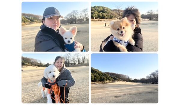 犬のしつけ教室・出張レッスン・無駄吠えの矯正レッスンを行うドッグスクールヴィッセの今日のわん子達。～2月13日～