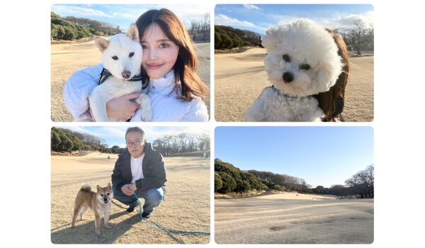 犬のしつけ教室・出張レッスン・無駄吠えの矯正レッスンを行うドッグスクールヴィッセの今日のわん子達。～2月19日～