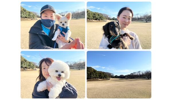 犬のしつけ教室・出張レッスン・無駄吠えの矯正レッスンを行うドッグスクールヴィッセの今日のわん子達～3月19日～