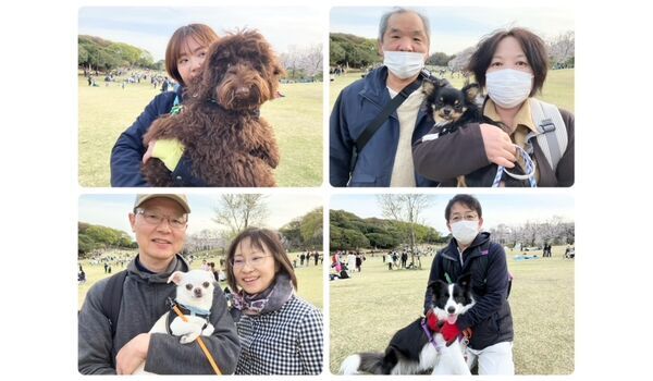 犬のしつけ教室・出張レッスン・無駄吠えの矯正レッスンを行うドッグスクールヴィッセの今日のわん子達～4月5日～