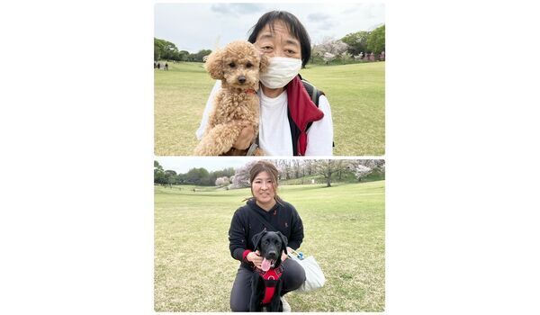 犬のしつけ教室・出張レッスン・無駄吠えの矯正レッスンを行うドッグスクールヴィッセの今日のわん子達～4月11日～