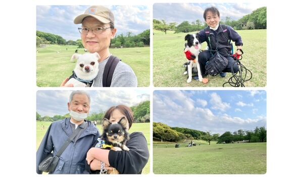 犬のしつけ教室・出張レッスン・無駄吠えの矯正レッスンを行うドッグスクールヴィッセの今日のわん子達～4月26日～