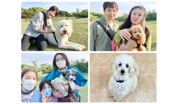 犬のしつけ教室・出張レッスン・無駄吠えの矯正レッスンを行うドッグスクールヴィッセの今日のわん子達～4月27日～