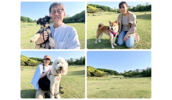 犬のしつけ教室・出張レッスン・無駄吠えの矯正レッスンを行うドッグスクールヴィッセの今日のわん子達～5月4日～