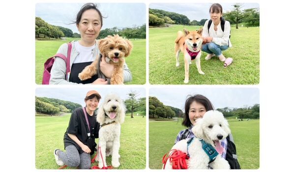 犬のしつけ教室・出張レッスン・無駄吠えの矯正レッスンを行うドッグスクールヴィッセの今日のわん子達～6月8日～