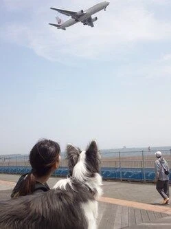 150416_113441.jpg
