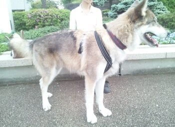 150507_170059.jpgのサムネイル画像