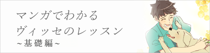 マンガでわかるヴィッセのレッスン~基礎編~