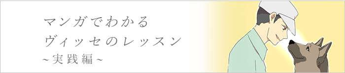 マンガでわかるヴィッセのレッスン~実践編~