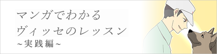 マンガでわかるヴィッセのレッスン~実践編~